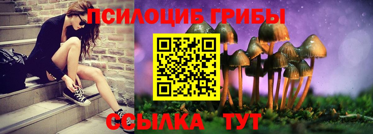 Псилоцибиновые грибы мухоморы Уссурийск